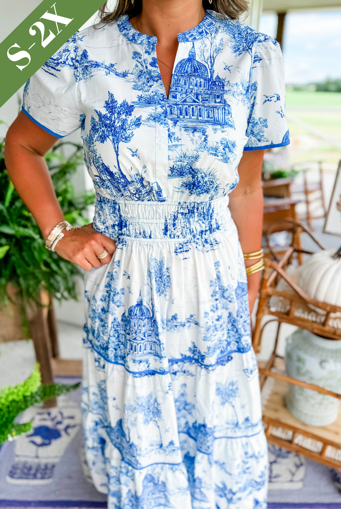 Women's Classic Charm Toile Maxi Dress🔥Buy 2 Free Shipping