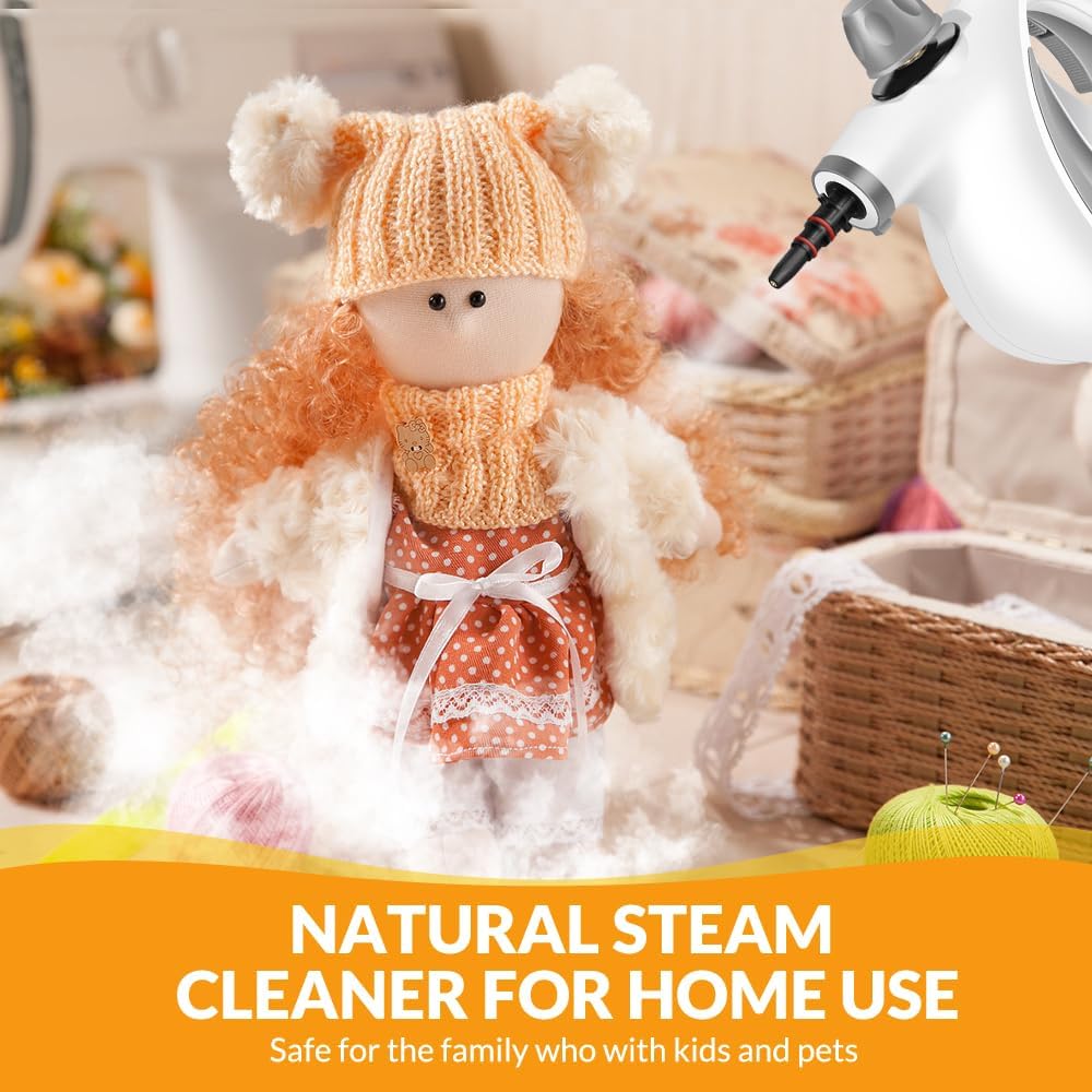 Handheld Pressurized Steam Cleaner with 12 pcs Accessories